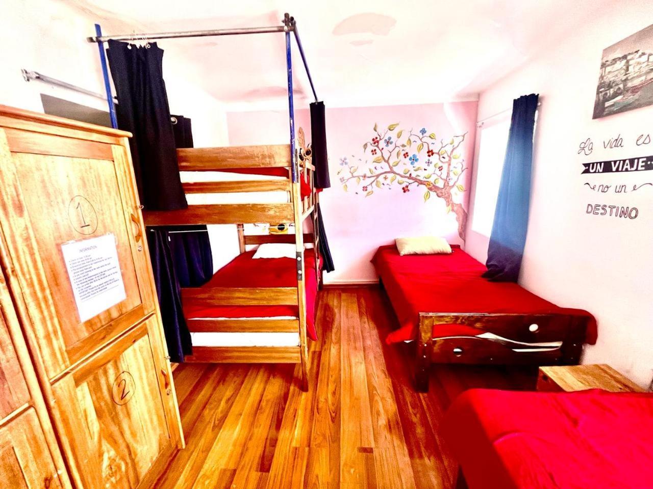 Cusco House Inn Hostel Kültér fotó