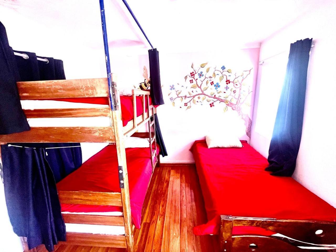 Cusco House Inn Hostel Kültér fotó